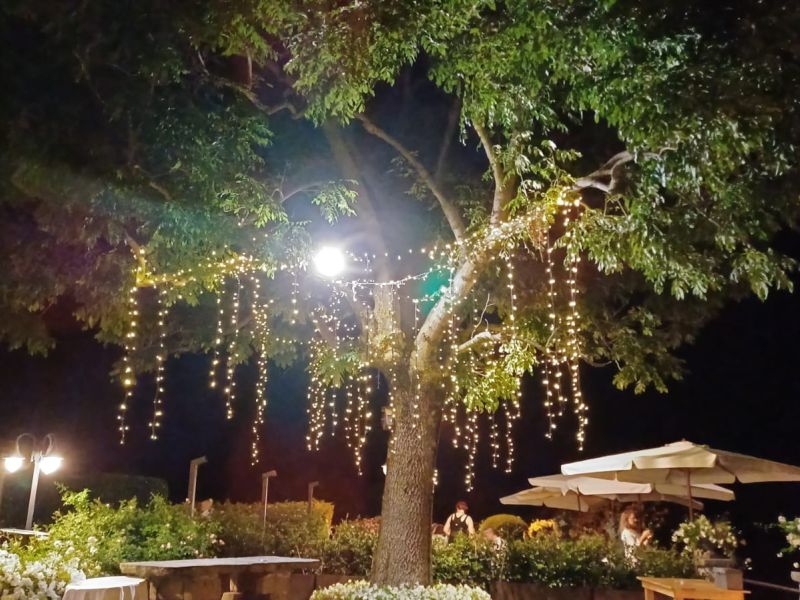 img wa0001 img wa0001